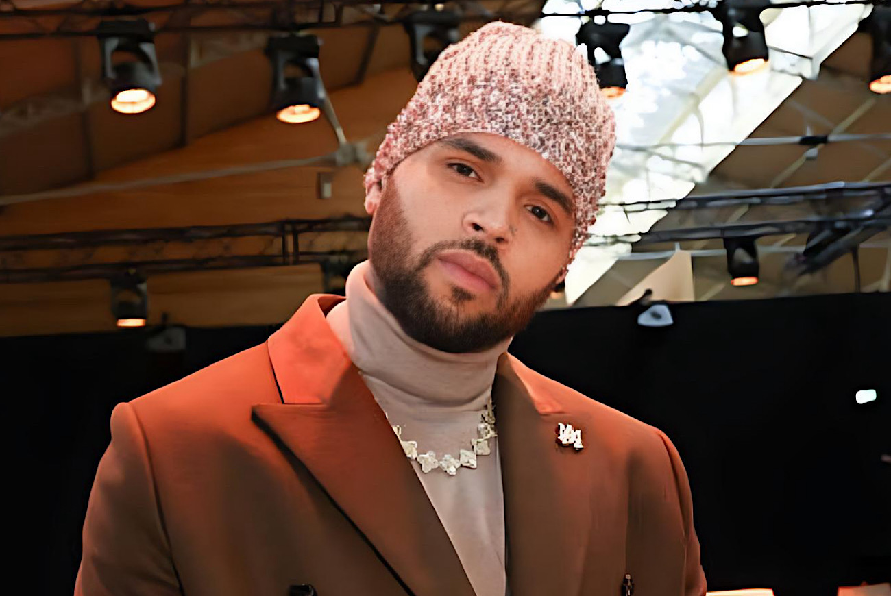 Chris Brown Fires Back at Critic Comparing Woman to Ex Karrueche